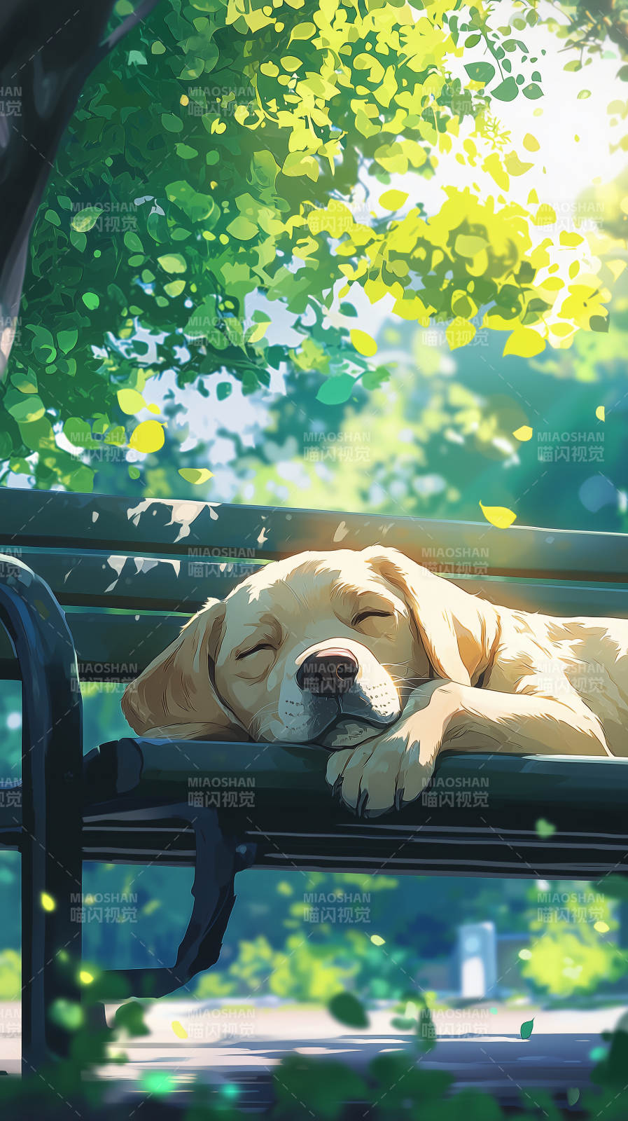 金毛犬午后阳光下的休憩图片