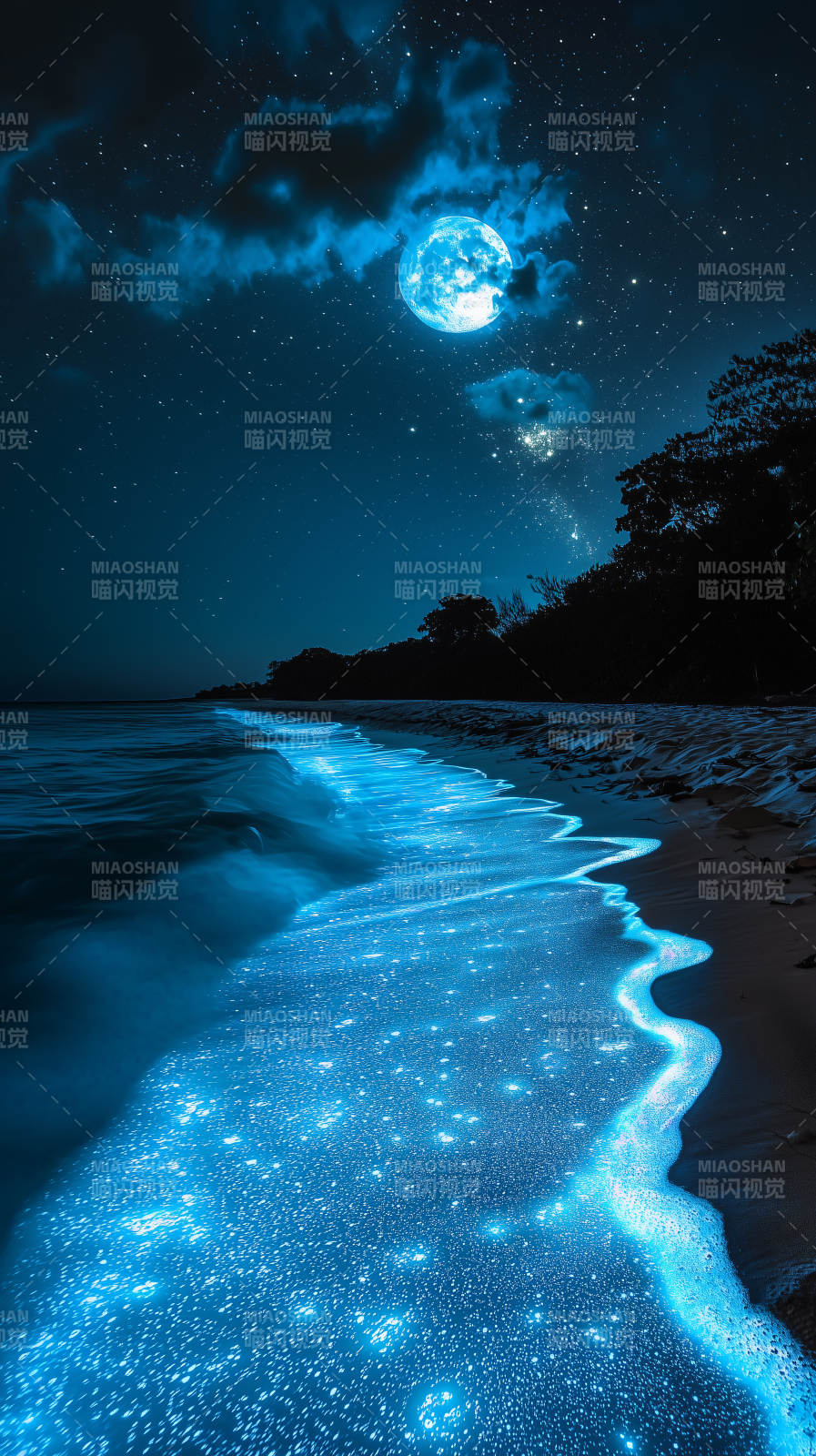 夜光海滩的梦幻星夜图片