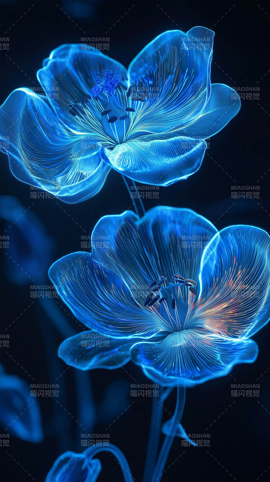 梦幻光影花朵图片