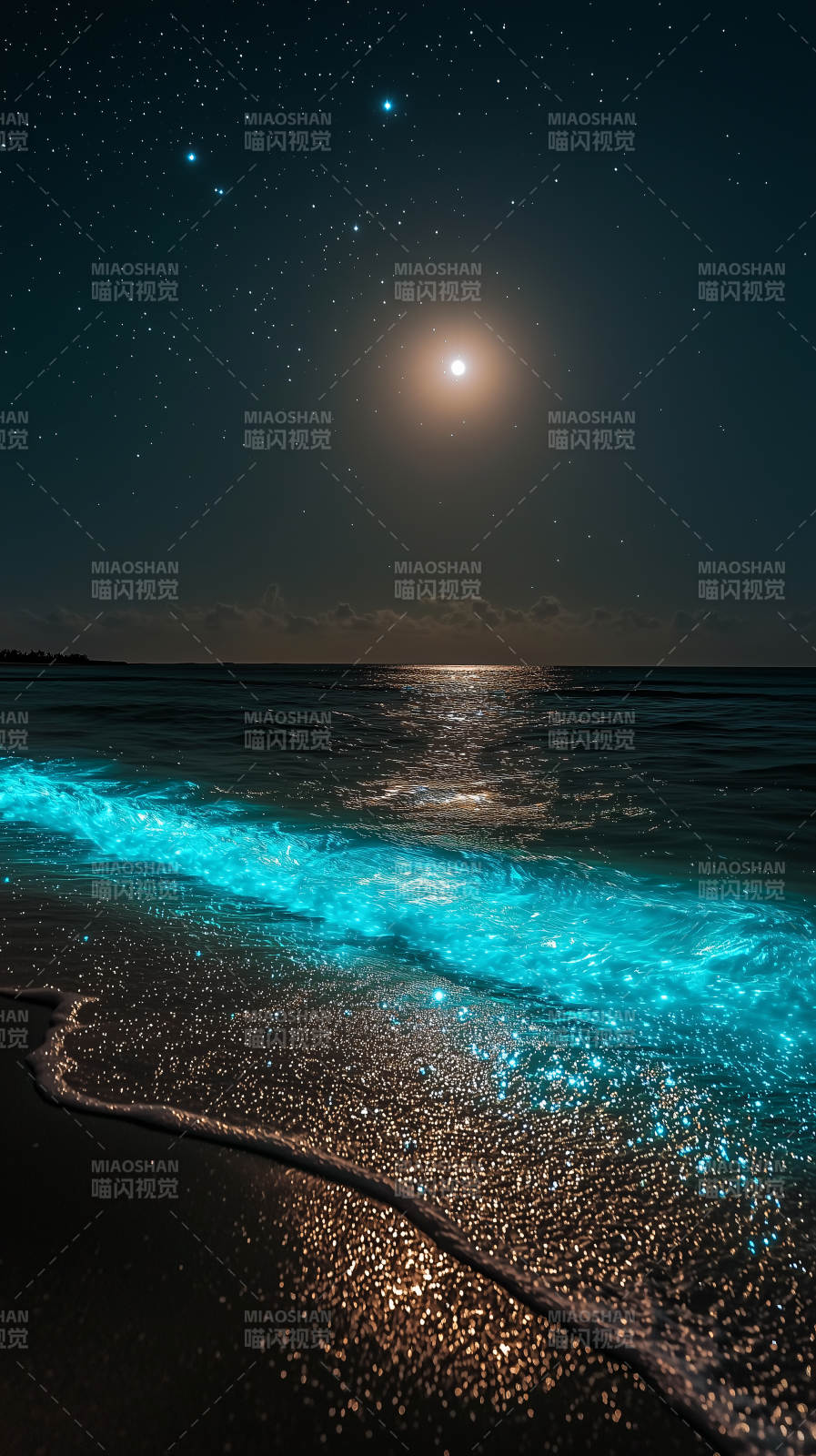 夜光海滩的梦幻星夜图片