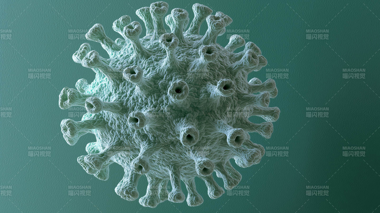 病毒微观结构图片