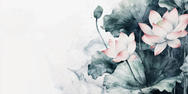 水墨荷花图图片