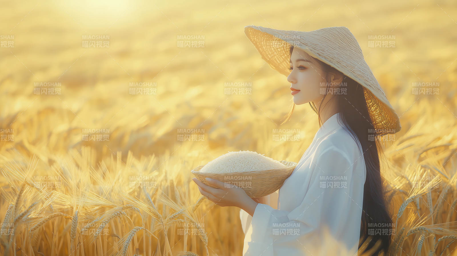 麦田里的女子图片