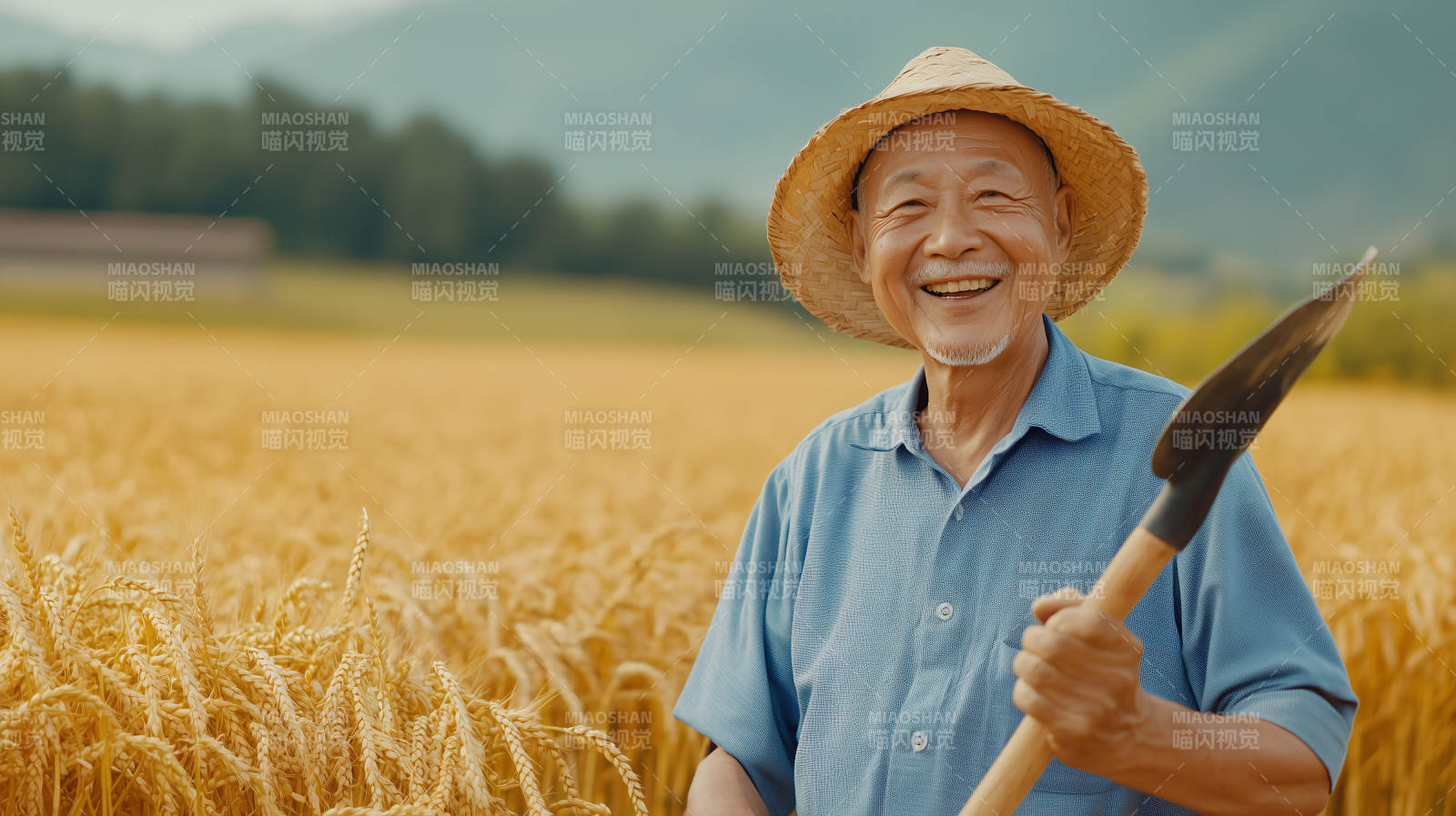 丰收的喜悦图片