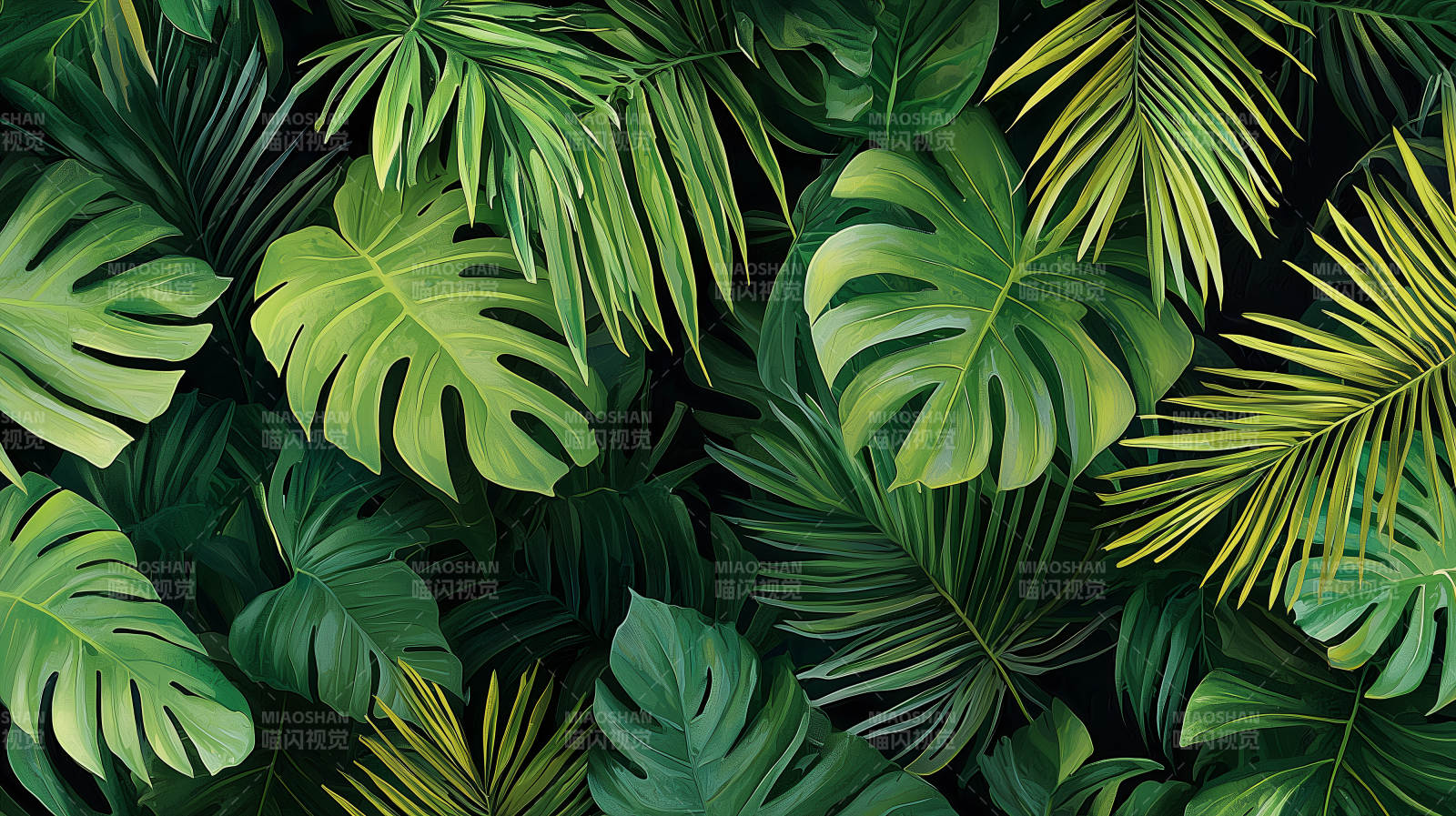 热带绿叶背景图片