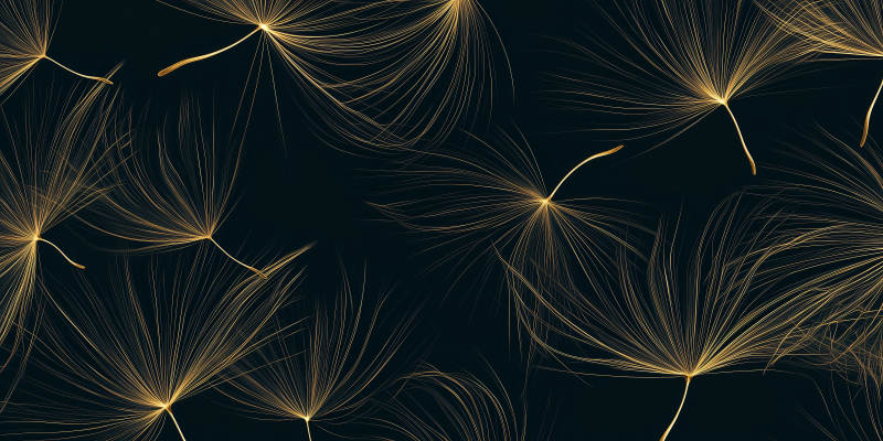 金色蒲公英飘舞图片