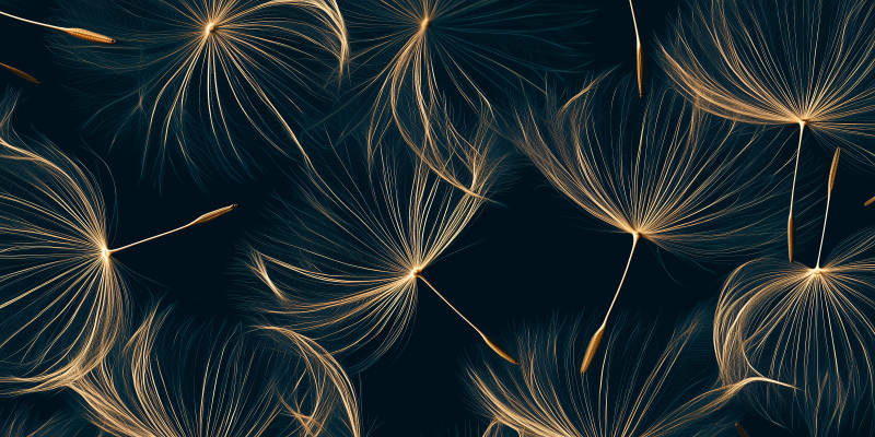 金风轻舞 暗夜生辉图片