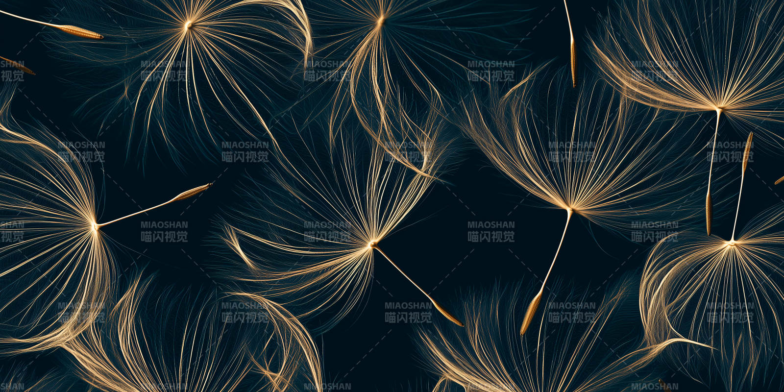 金风轻舞 暗夜生辉图片