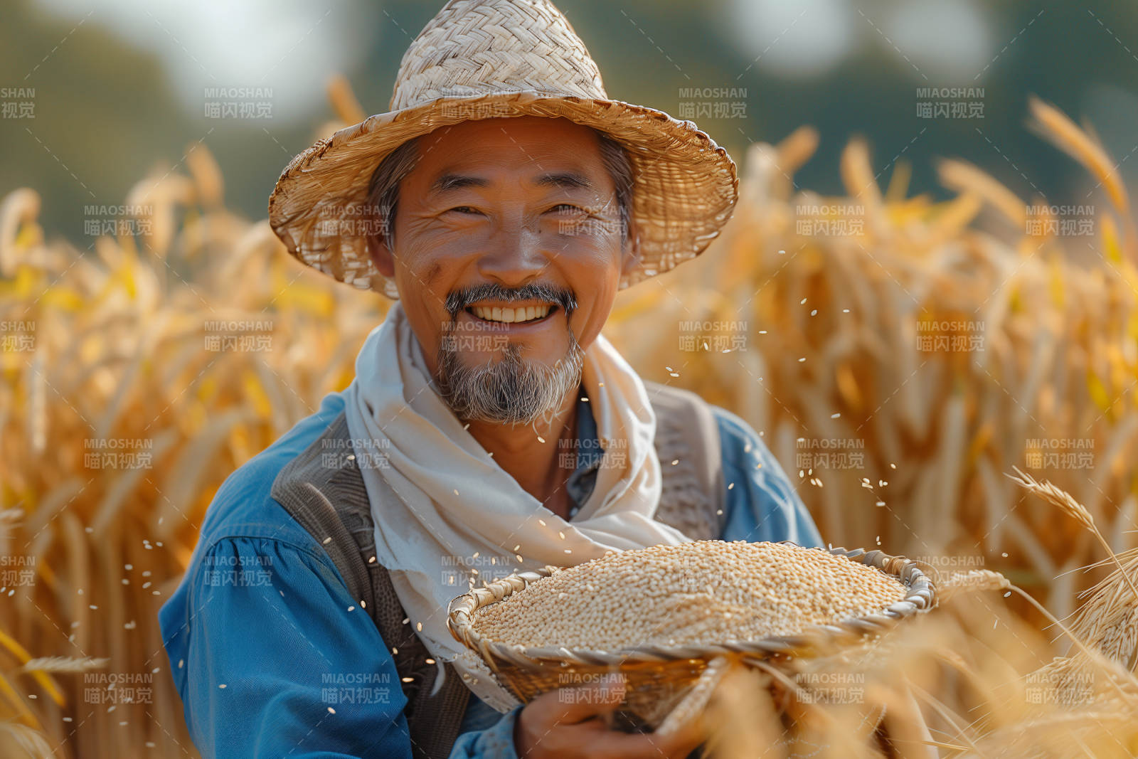 丰收的喜悦图片