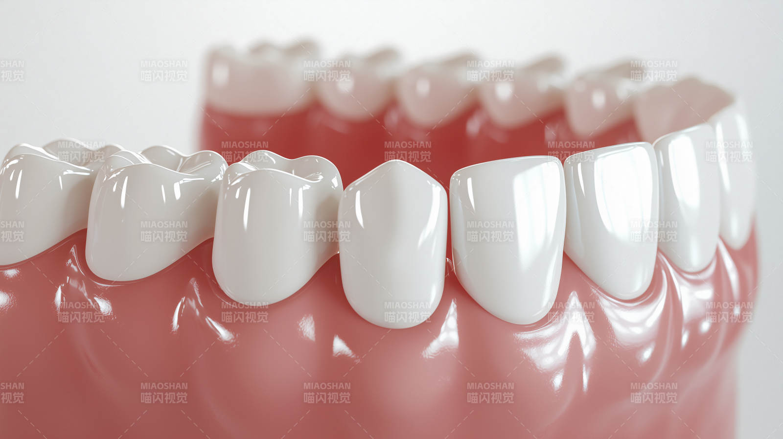 洁白牙齿模型展示图片