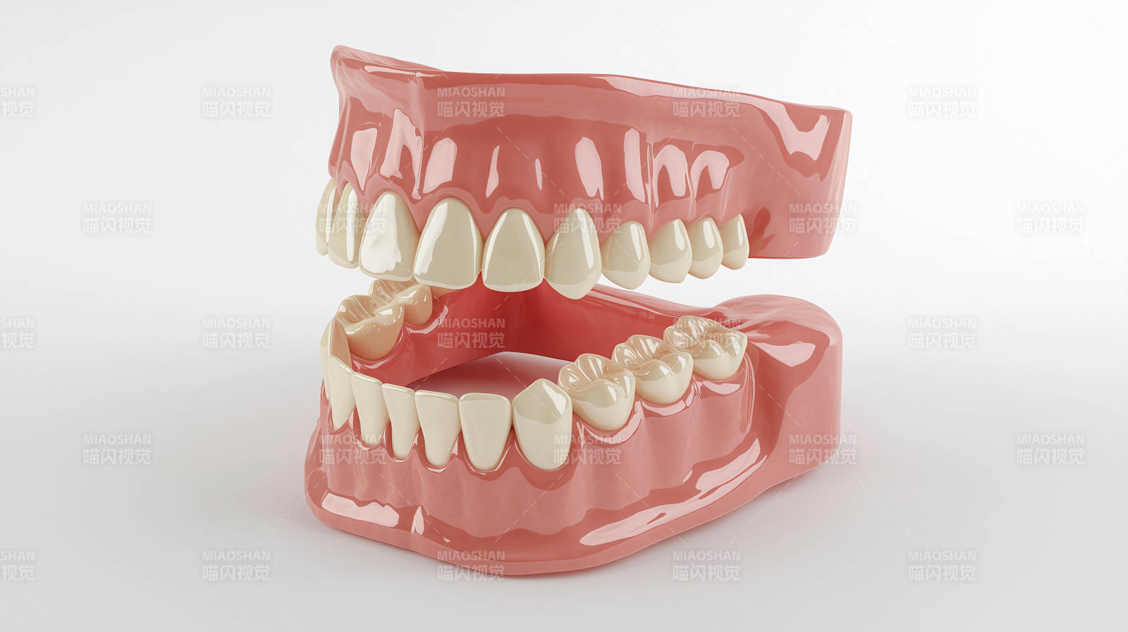 牙齿模型展示图片