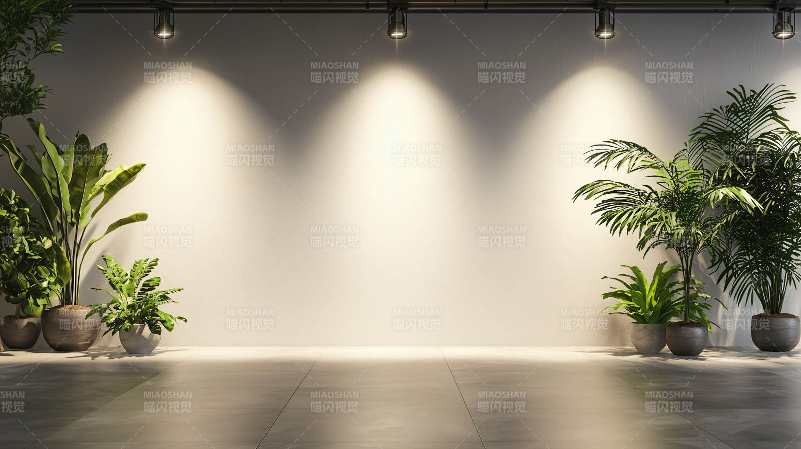 绿植光影空间图片