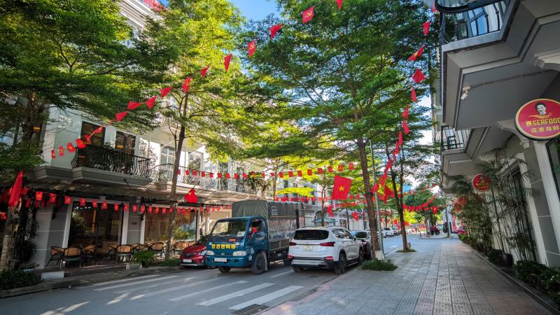 红旗下绿树成荫街景图片