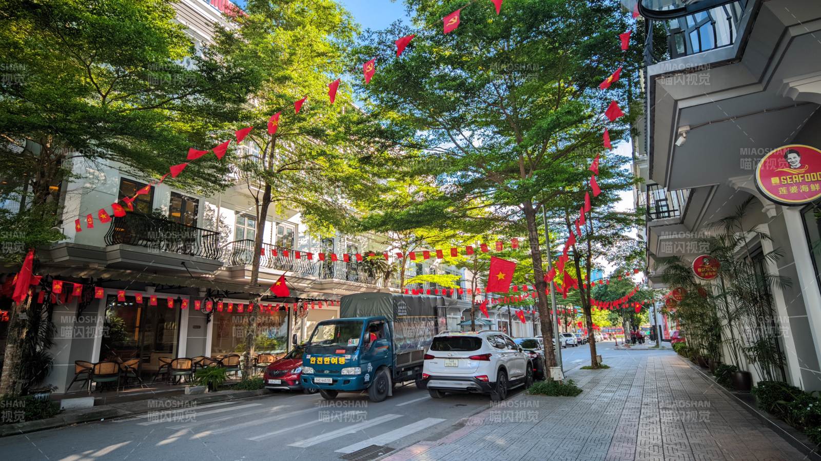 红旗下绿树成荫街景图片