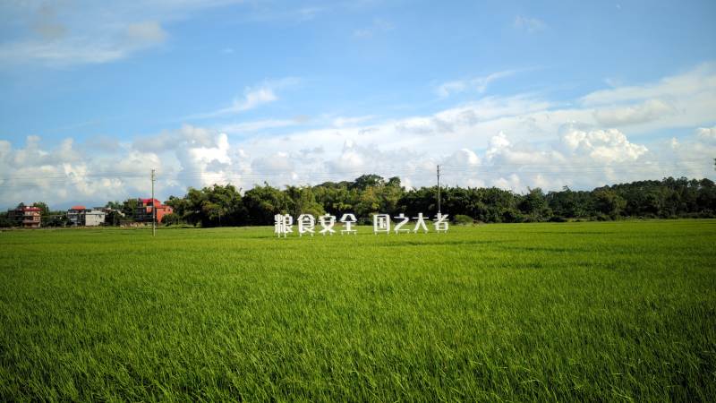 绿野蓝天 宁静田园图片