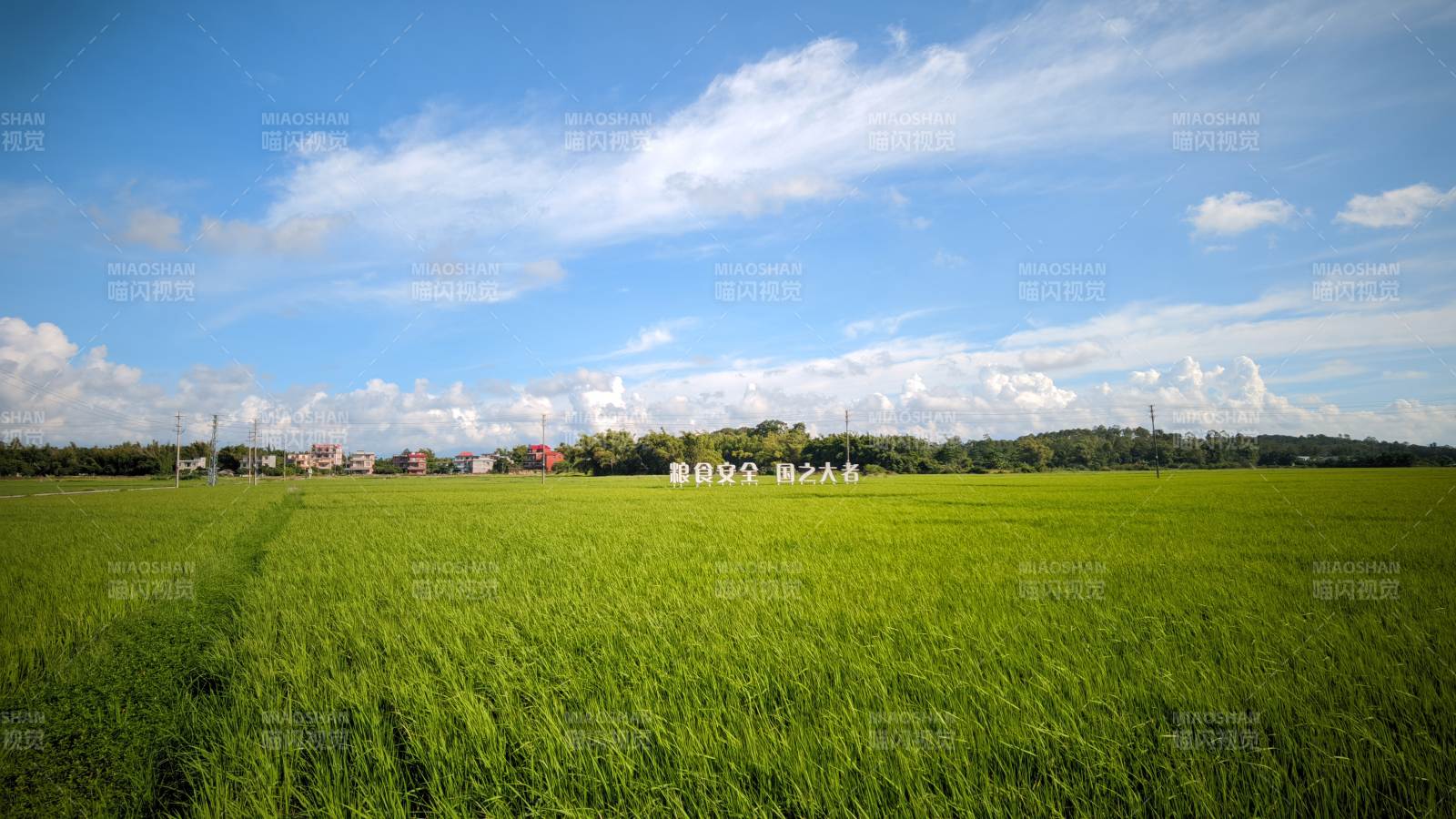 绿野蓝天 心旷神怡图片