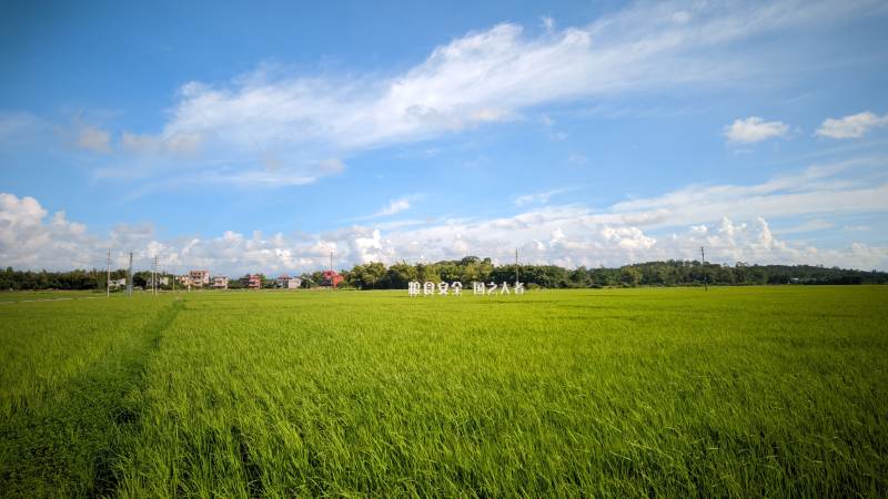 绿野蓝天 心旷神怡图片