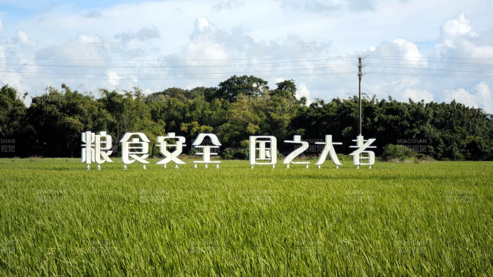 粮食安全 国之大者图片