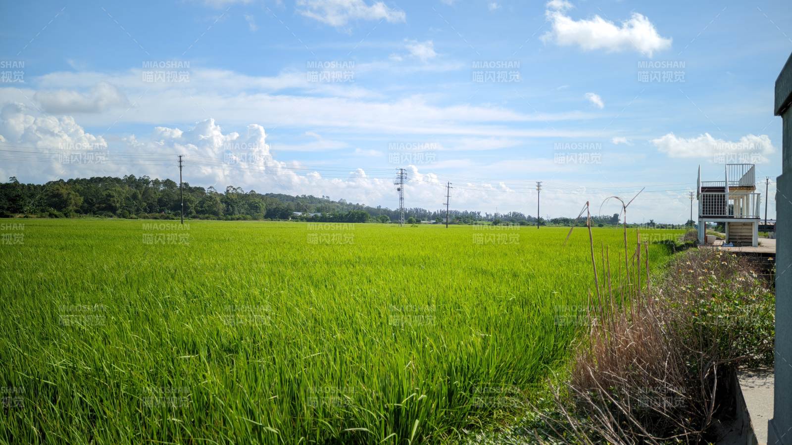 绿野蓝天 田园风光图片