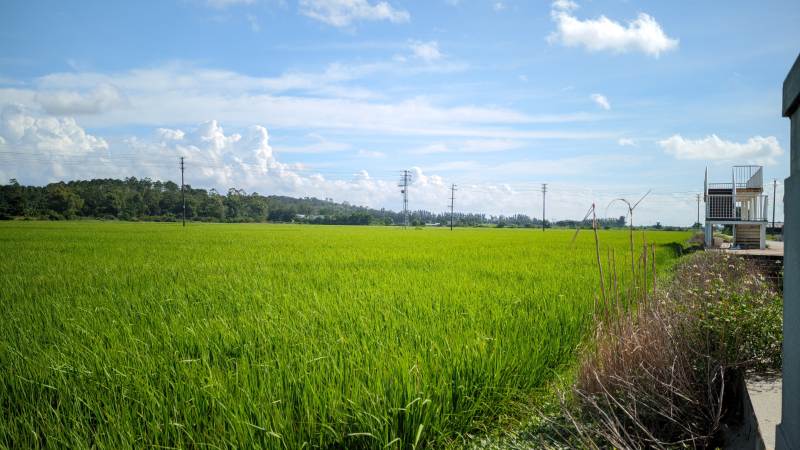 绿野蓝天 田园风光图片