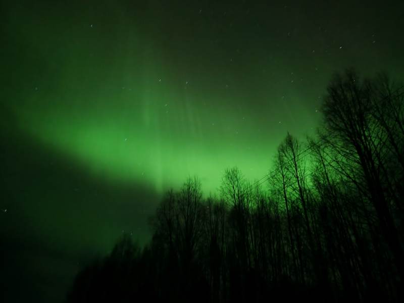 极光映林夜景图片