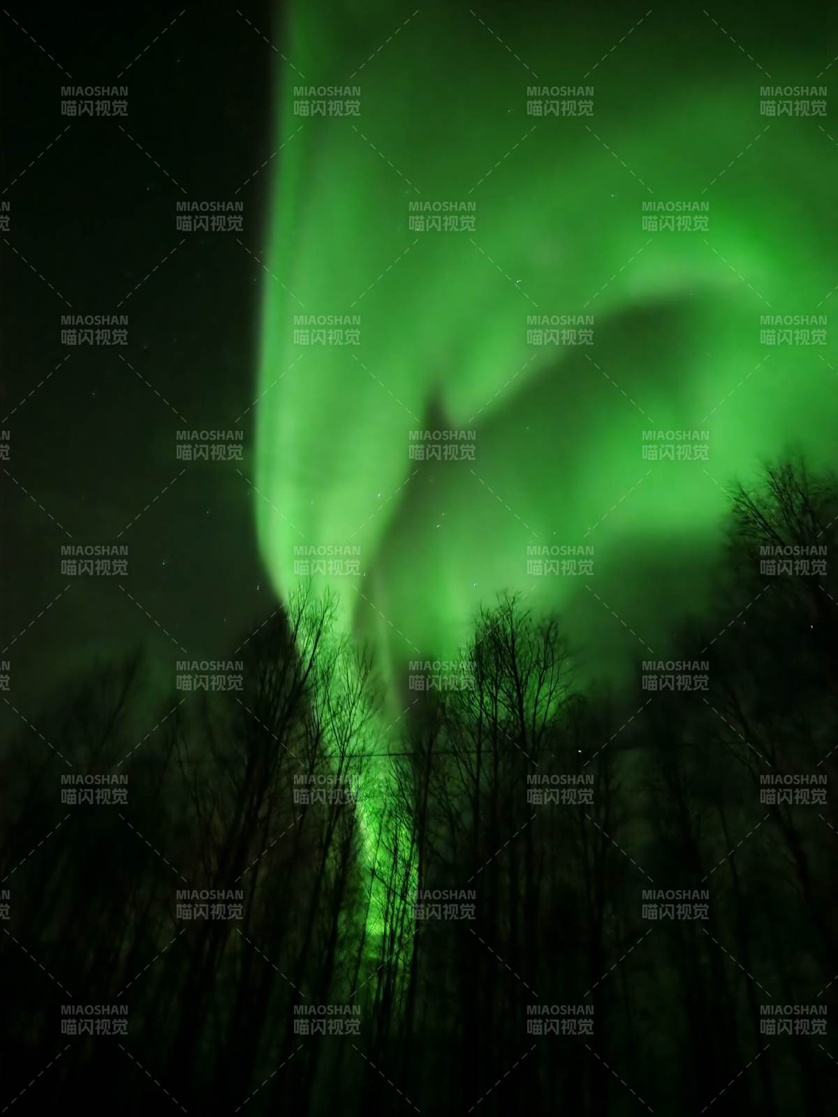 极光映林夜景图片