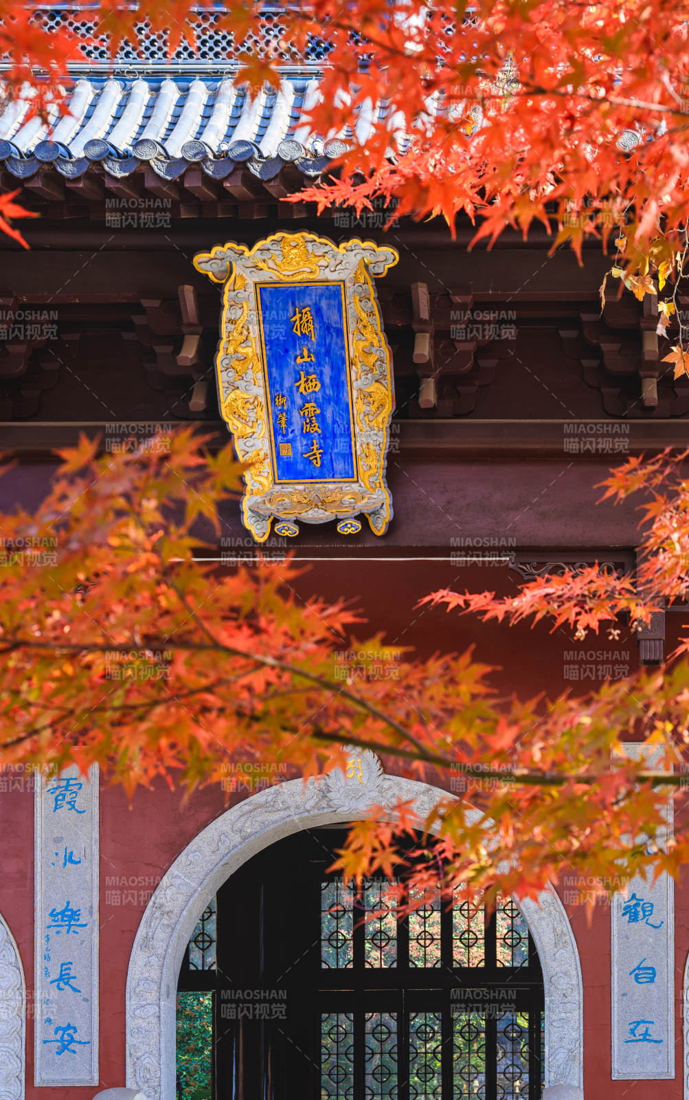 枫叶映古寺图片