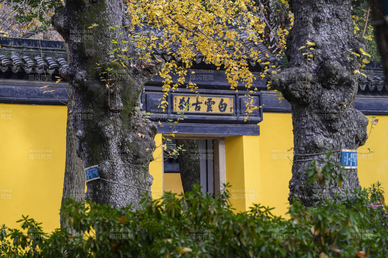 白云古刹秋色图片