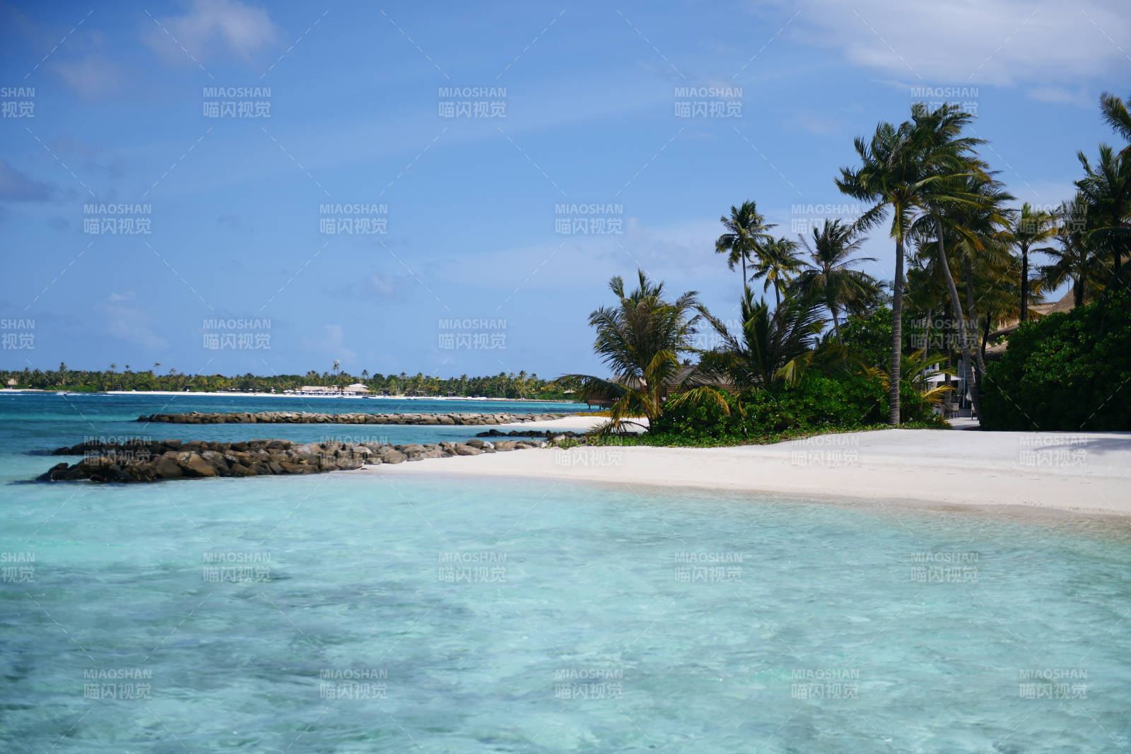 马尔代夫 碧海白沙椰林风图片