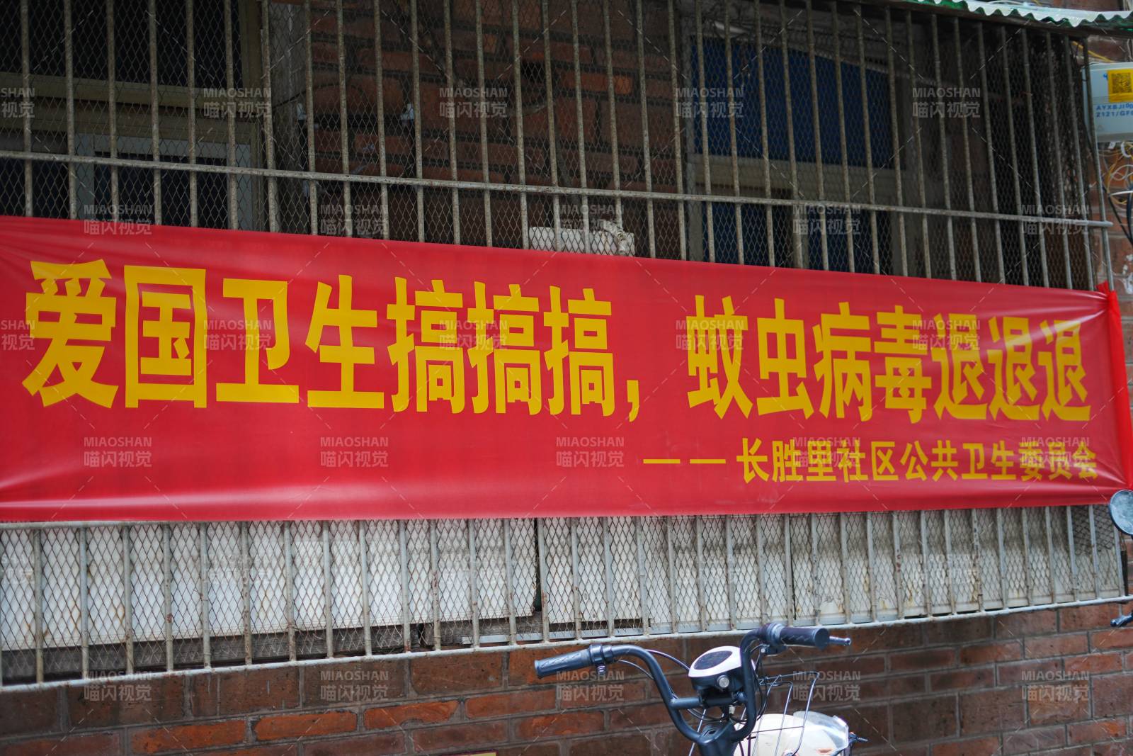 爱国卫生除蚊虫图片