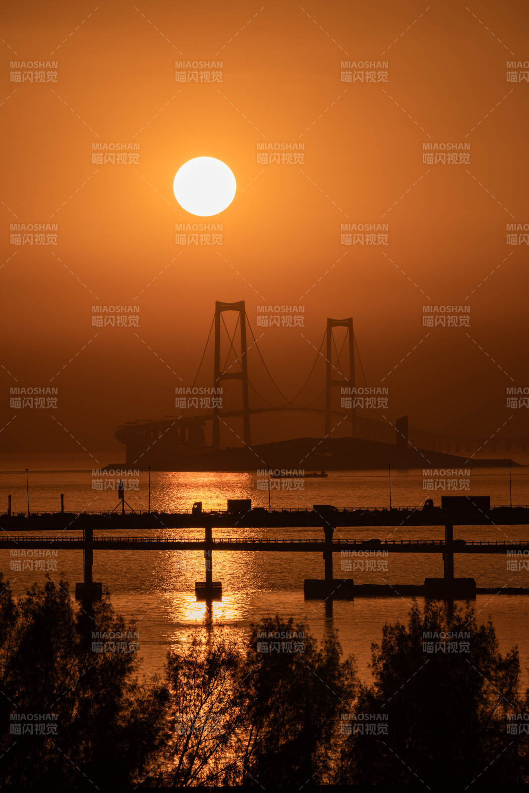 深中通道玄子图片