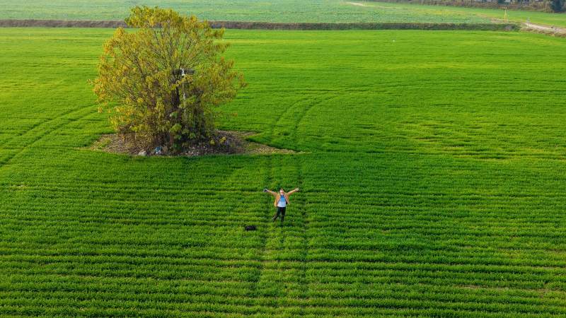 绿野孤树人影图片