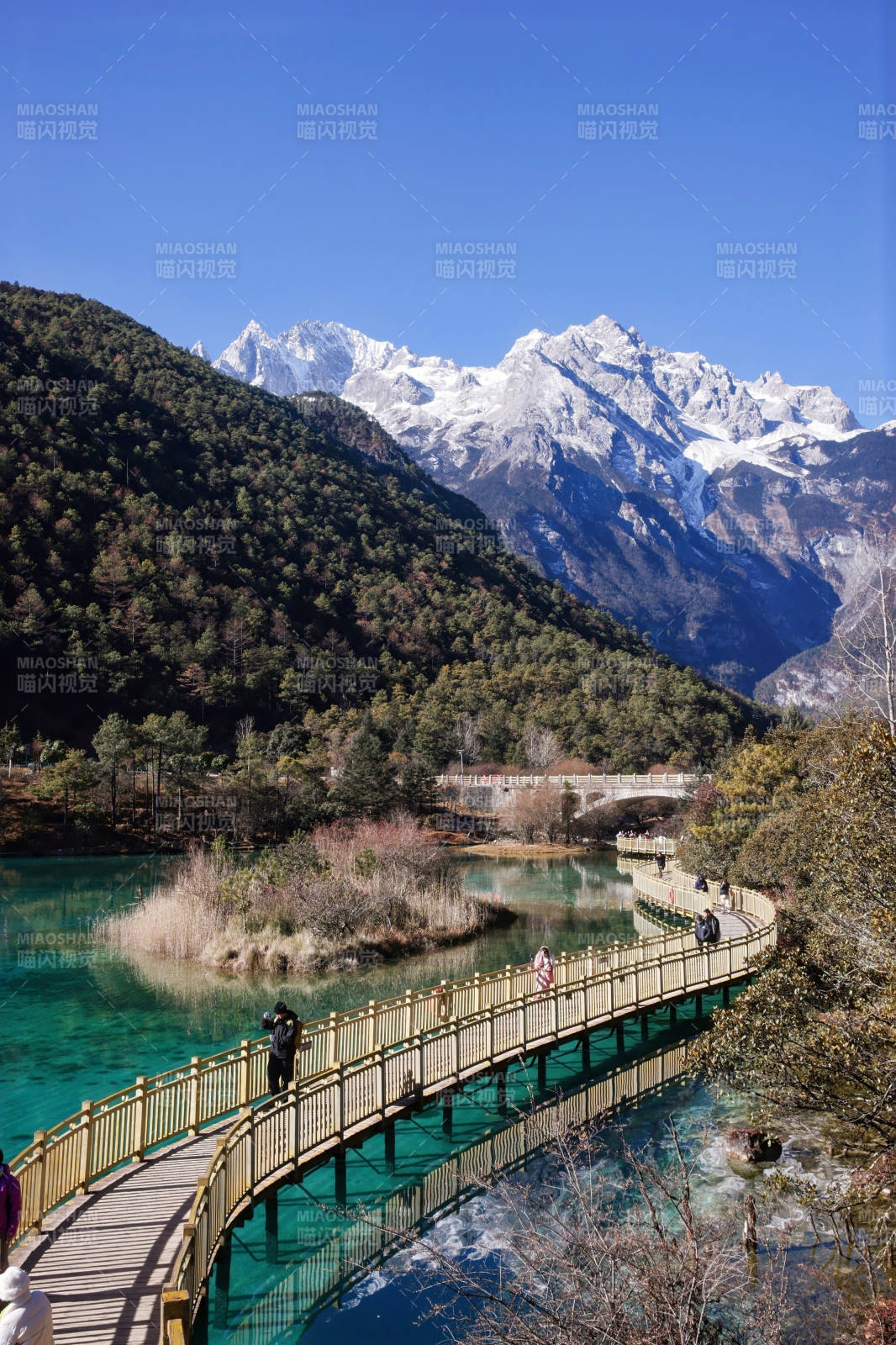 丽江玉龙雪山碧湖栈道行图片