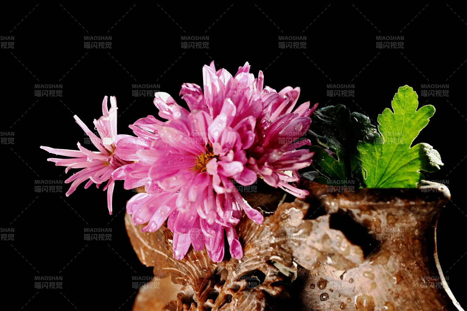 粉菊静插古玉瓶中图片