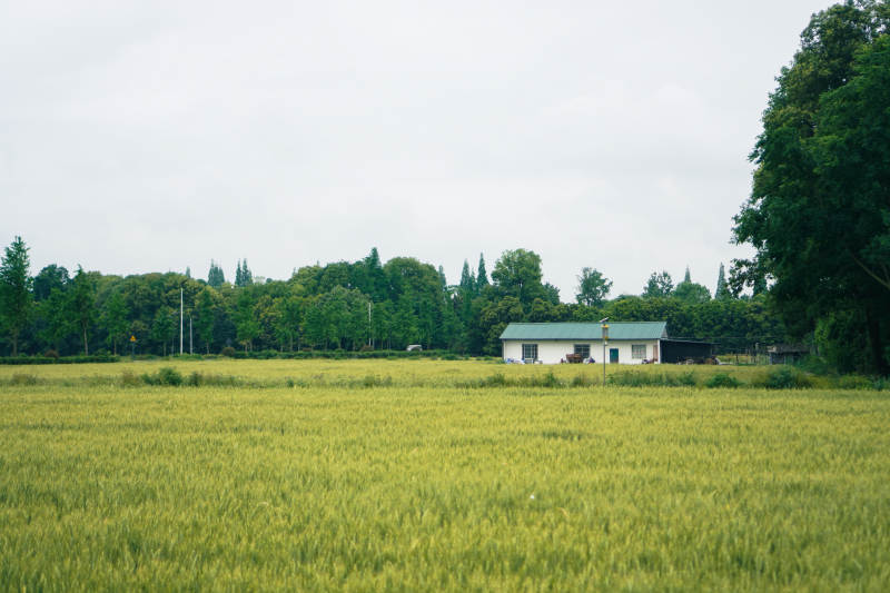 田园风光 宁静致远图片