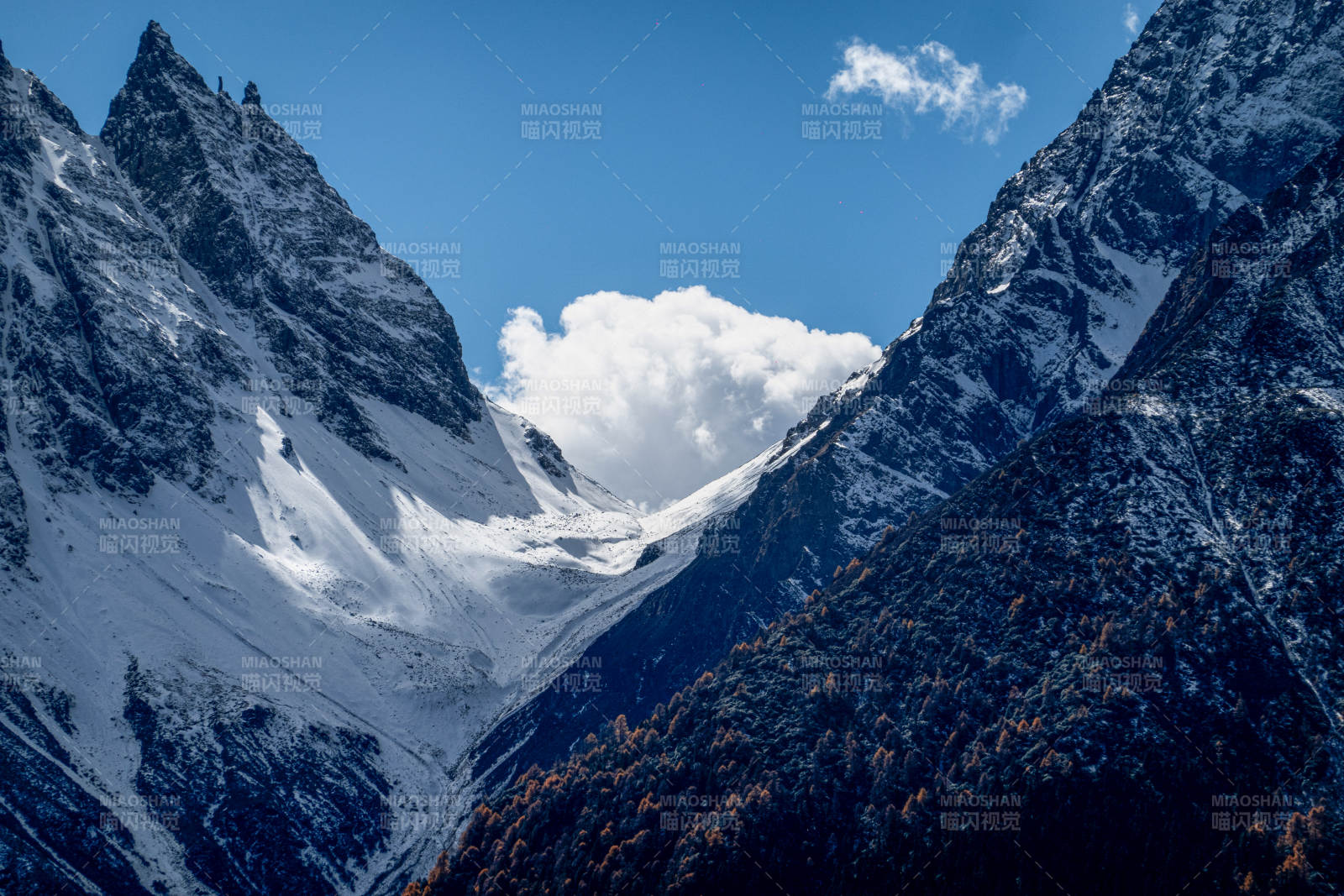 雪山峡谷秋色图片