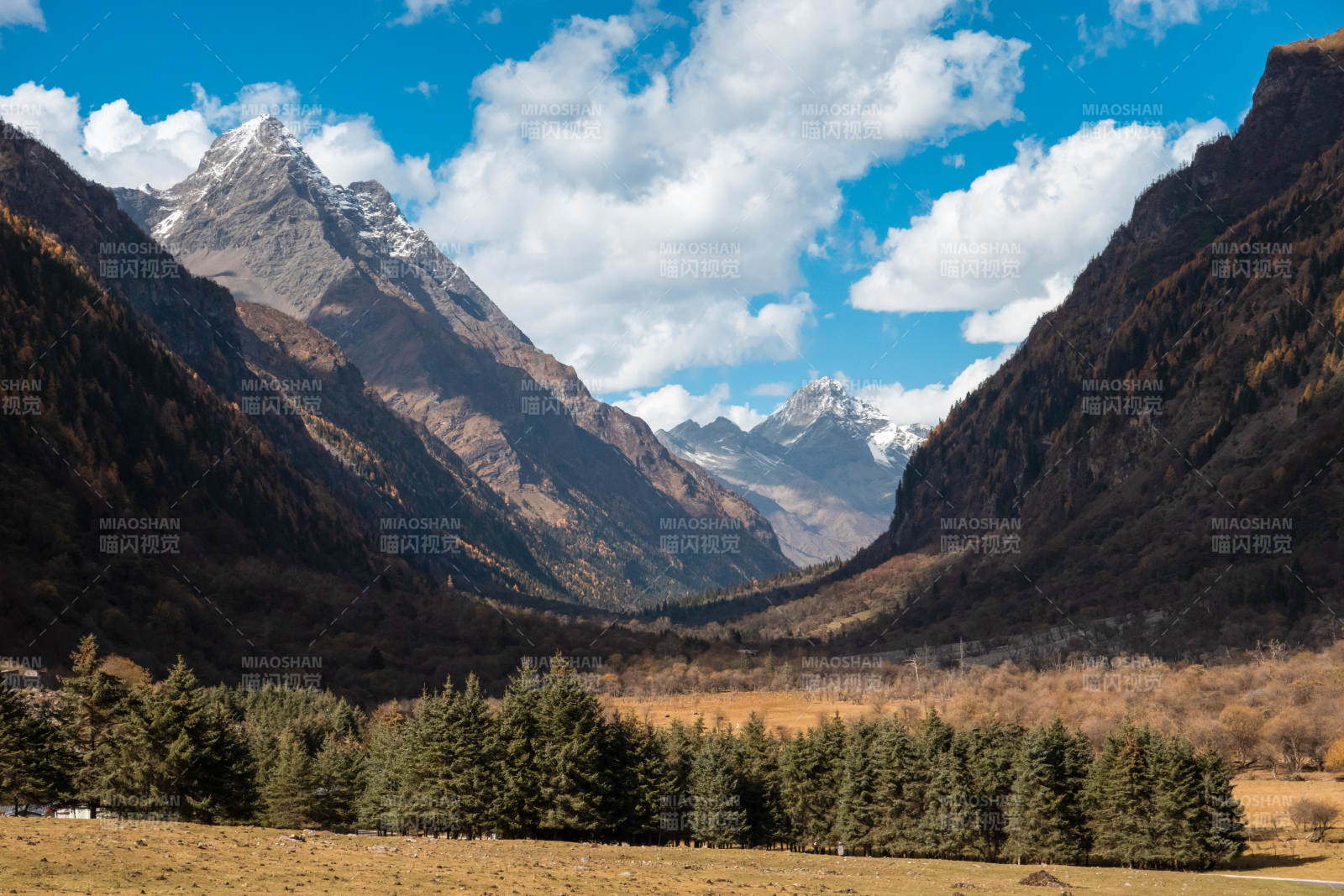 雪山峡谷秋景图片