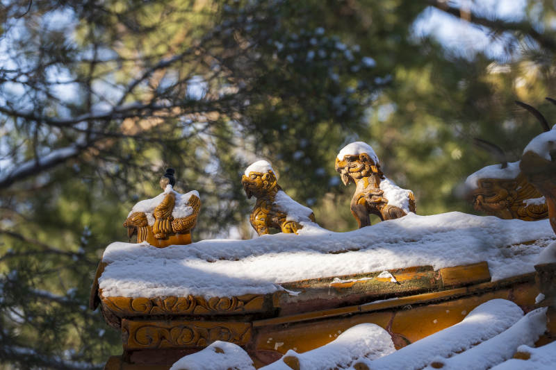 雪覆古檐兽图片