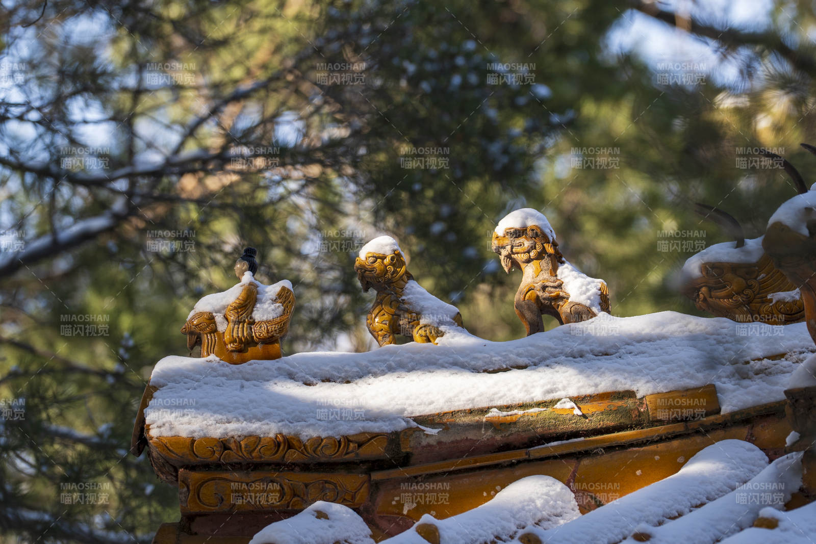 雪覆古檐兽图片