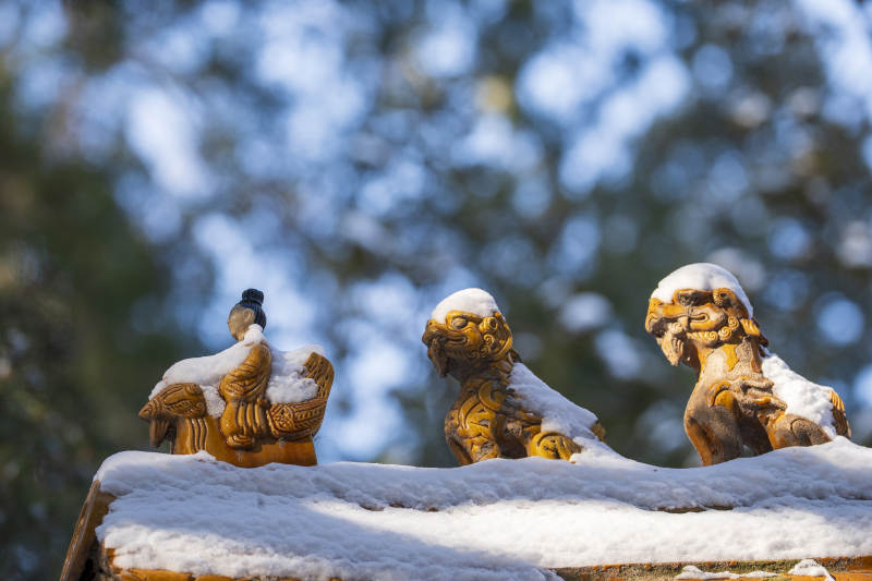 颐和园南湖岛雪覆屋脊兽图片