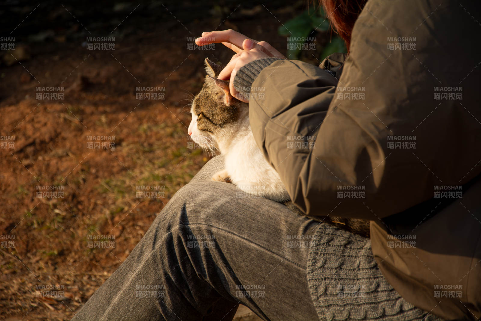 温暖的陪伴图片