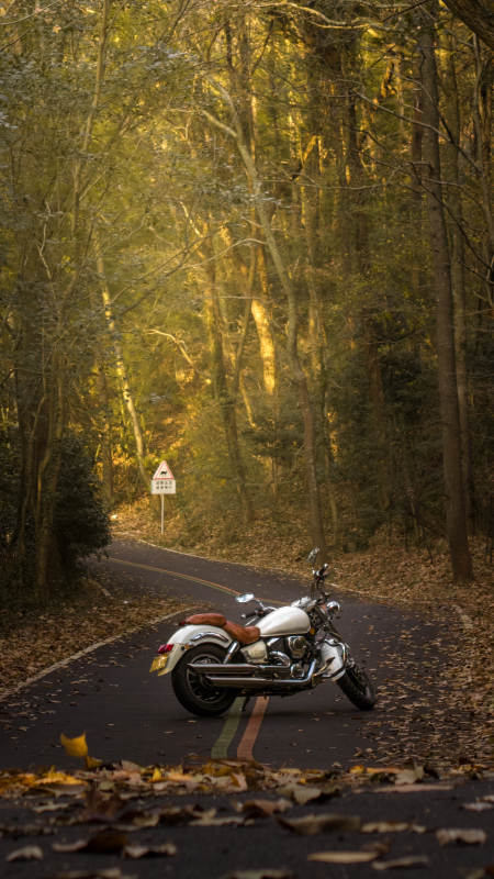 秋林中的摩托静影图片