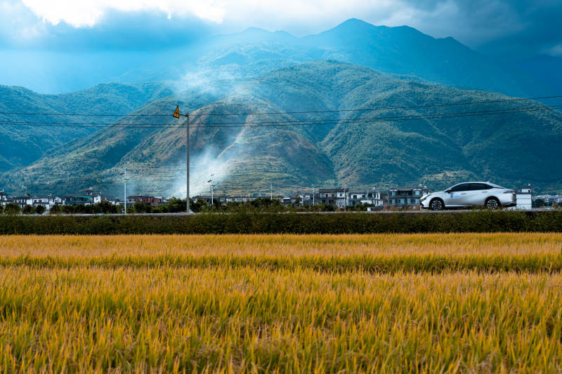 山野秋收图图片