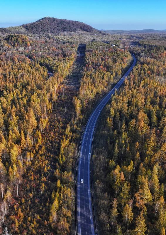 秋林公路蜿蜒行图片