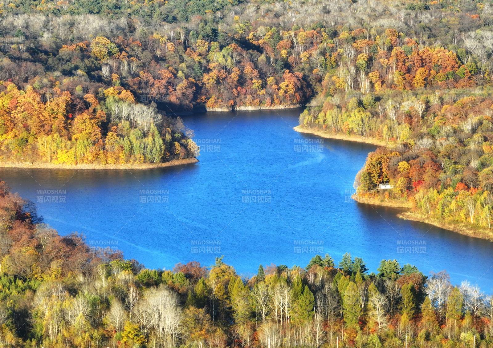 秋湖林海美景图片