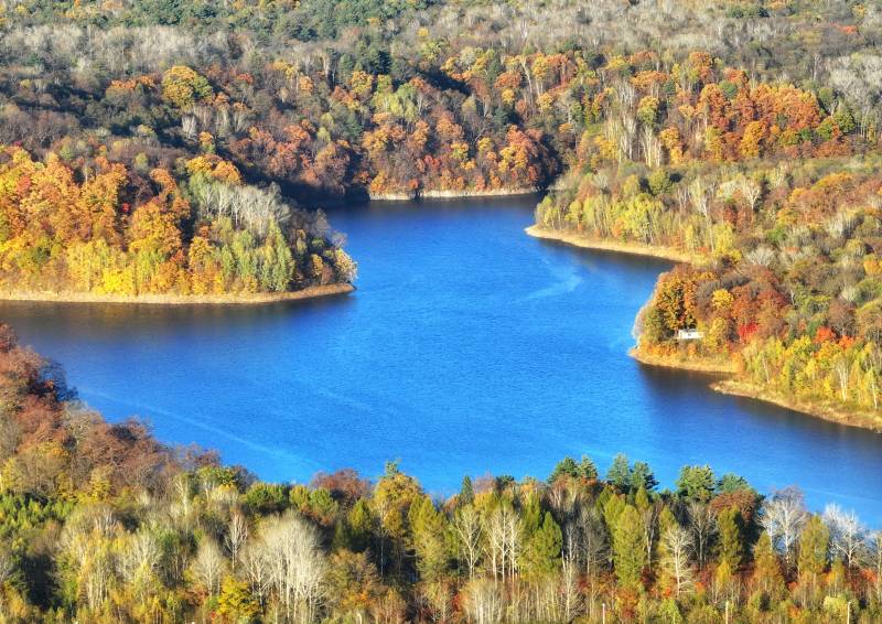秋湖林海美景图片