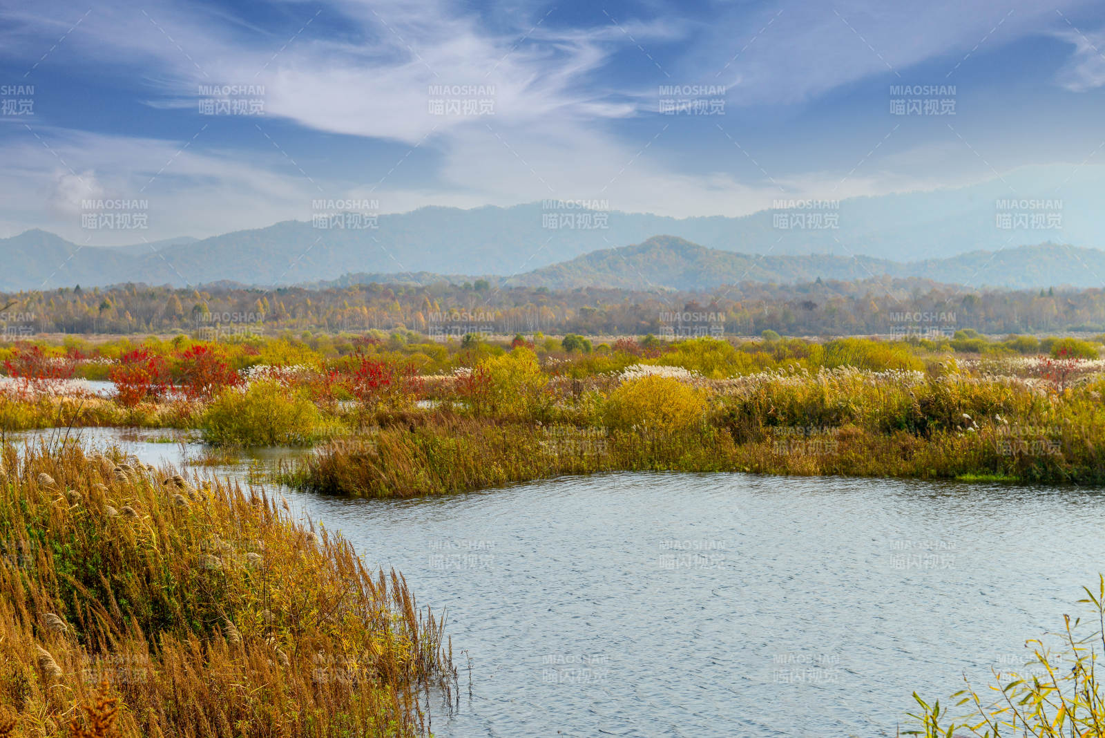 秋日湿地风光图片