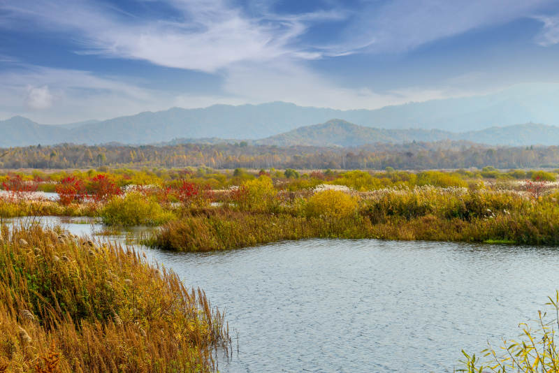 秋日湿地风光图片