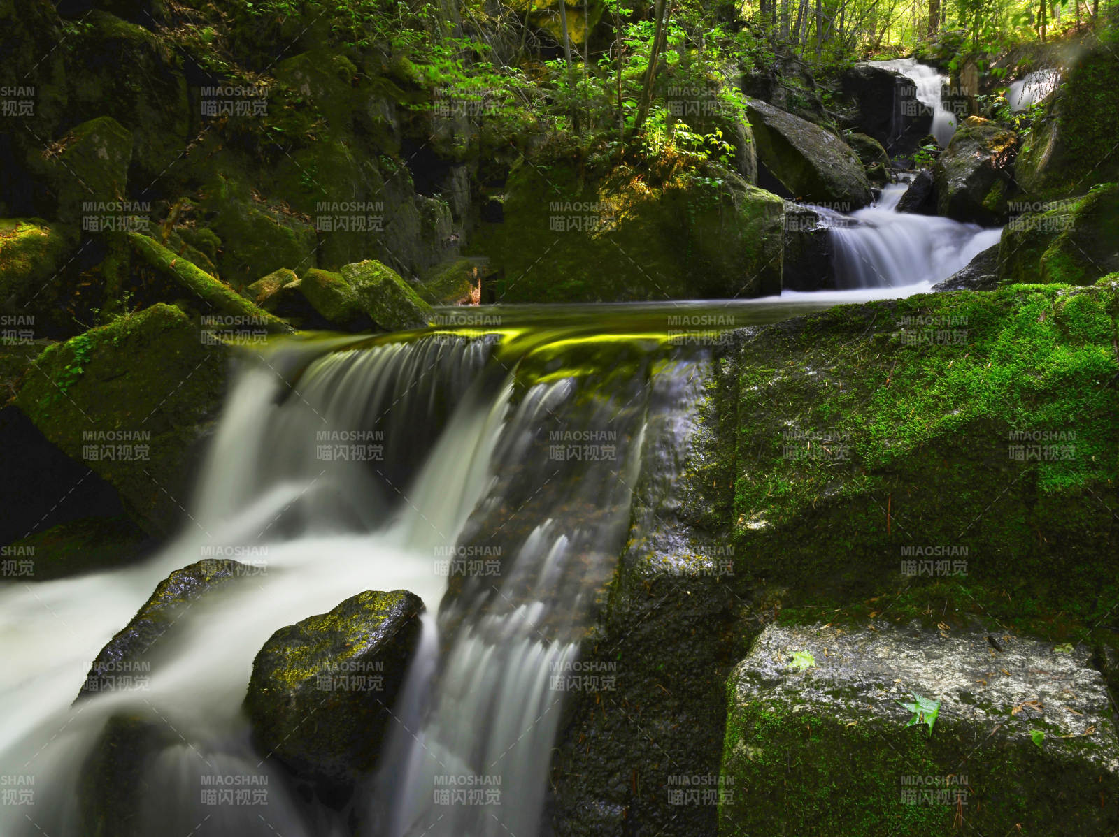 溪流穿石 绿意盎然图片