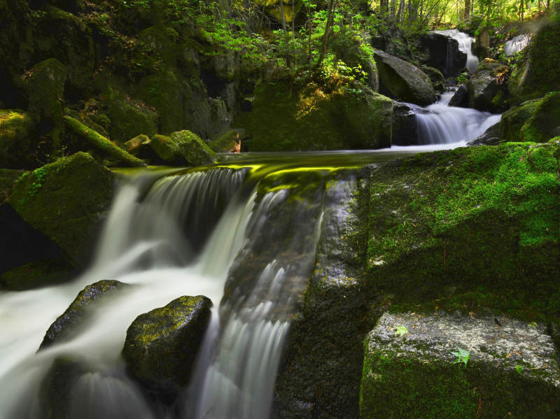 溪流穿石 绿意盎然图片